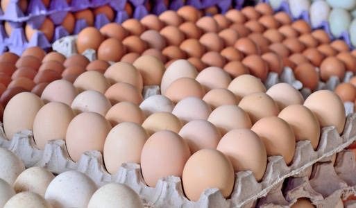 国内鸡肉鸡蛋在市场上的销售图片