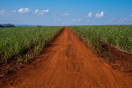 和道路