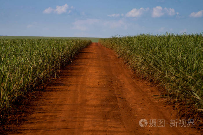 和道路