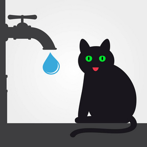 猫和水水龙头