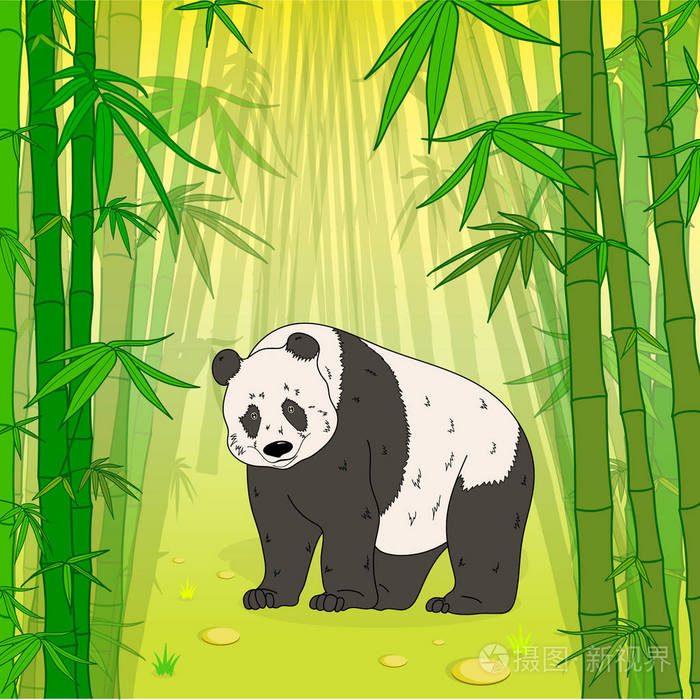 在竹林里的熊猫熊插画-正版商用图片0yd78p-摄图新视界