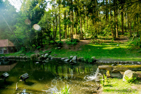美丽的景色,用天然的颜色和水反射照片