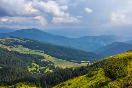 绿色的喀尔巴阡山风景