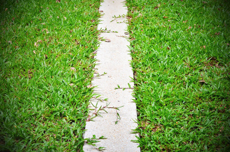 在草丛中的路径图片