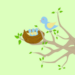 树上的鸟巢图片