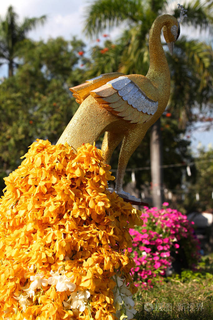 各种鲜艳的黄花组成泰国东南亚