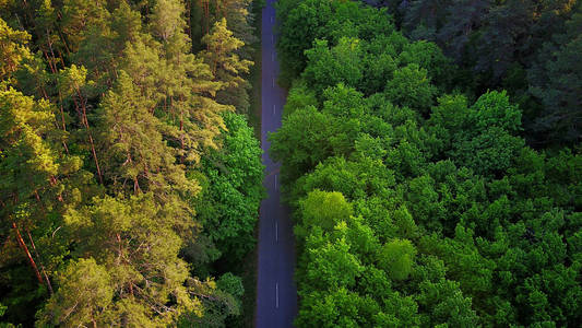公路穿过森林，鸟瞰图