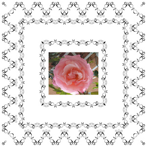 花香框架复古心爱的玫瑰装饰框架复古风格