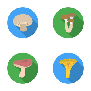 香菇 蜂蜜 木耳 红菇 蘑菇。在平面样式矢量符号股票图 web 设置集合图标
