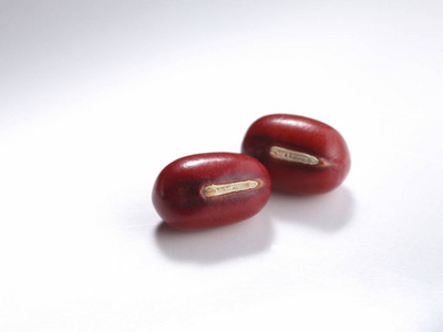 红豆红歌曲图片