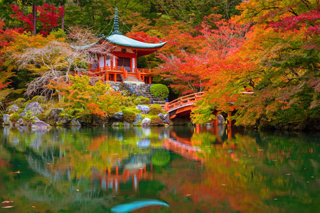 多彩的枫树在京都醍醐寺