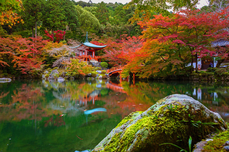 多彩的枫树在京都醍醐寺