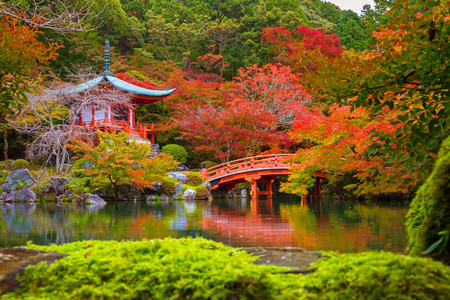 多彩的枫树在京都醍醐寺