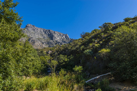 开普敦桌山