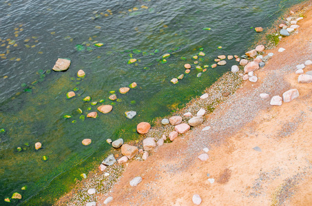 海水中有沙子和石头，绿绿的翡翠水中有藻类