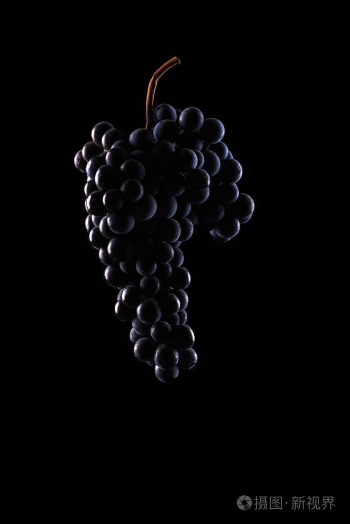 莓果的葡萄在黑色背景上孤立的低光暗一束
