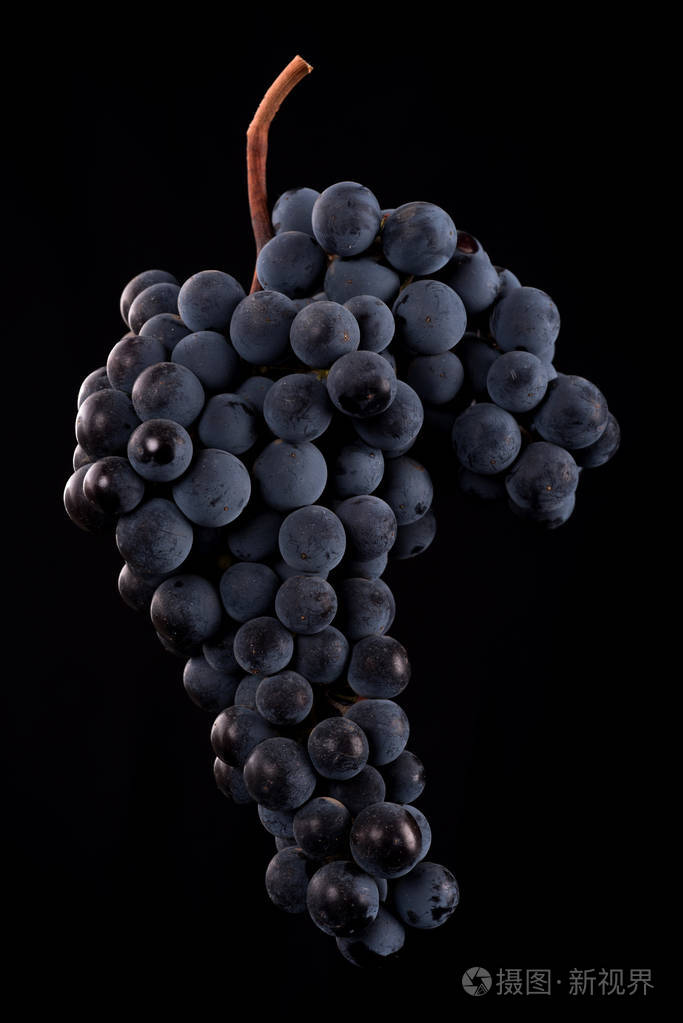 莓果的葡萄在黑色背景上孤立的低光暗一束