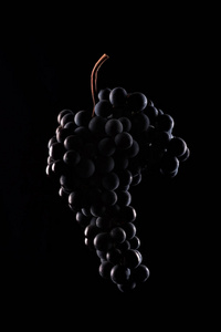 莓果的葡萄在黑色背景上孤立的低光暗一束