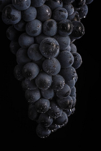 附近，暗串水葡萄浆果滴眼液在黑色背景上孤立的低光