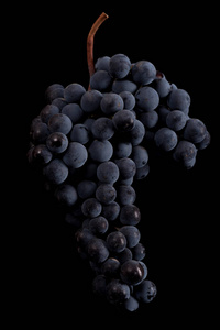 莓果的葡萄在黑色背景上孤立的低光暗一束