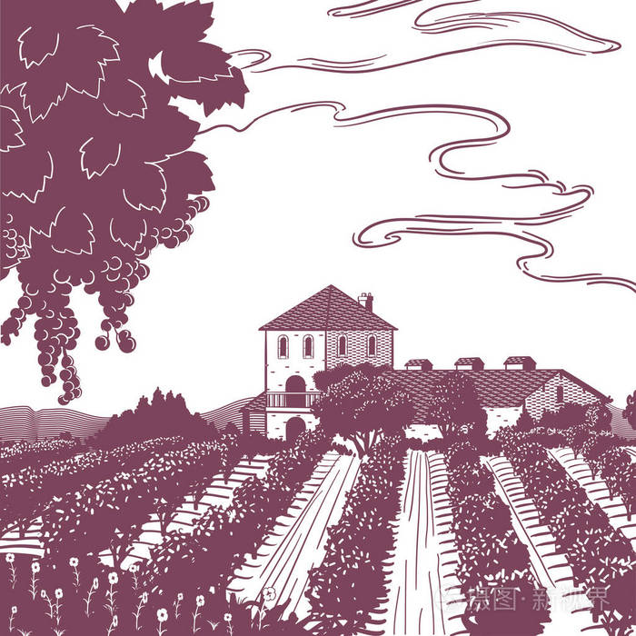 葡萄园的线条艺术
