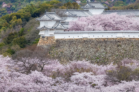 日本姬路城堡