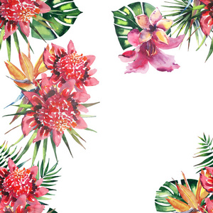 美丽明亮可爱炫彩热带夏威夷花卉草药夏季花纹的热带花芙蓉兰花和棕榈树的叶子水彩手绘