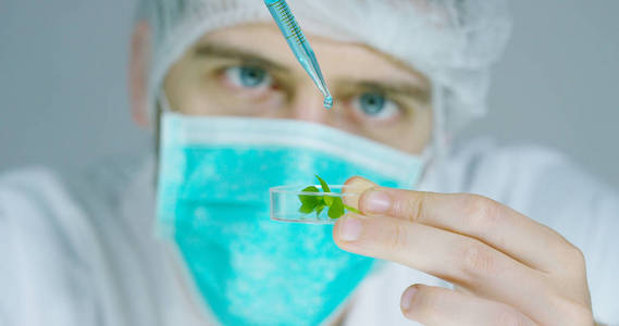 一位科学家在实验室分析土壤和植物内的收集植物 Dna。概念 dna，分析生物，微生物学，增强现实，生物化学，身临其境的技术