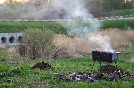 鸡翅上的肉串在田里炒。 露天的经典烧烤。 用木炭煎肉的过程