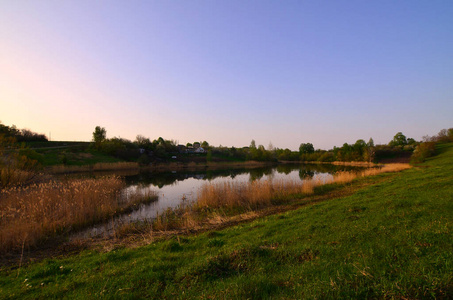 一个有野生芦苇田和一个小湖的乡村景观。 生态清洁的地方休息