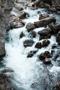 山河, 美丽的山浅滩水。水急流。山河, 森林绿色快速瀑布