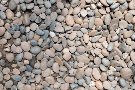 砾石花园图片-砾石花园素材-砾石花园插画-摄图新视界