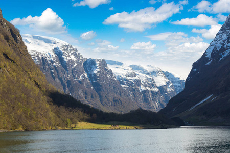 在挪威的美丽 Sognefjord