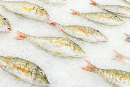 高角原料新鲜鱼冷冷冰在海鲜市场的巴厘岛，印度尼西亚的床上