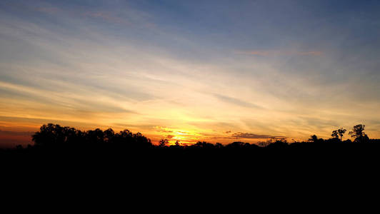 剪影拍摄图像的树和背景中的夕阳的天空