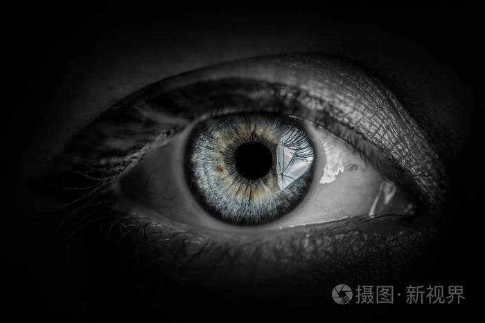 人眼在黑色和白色色调