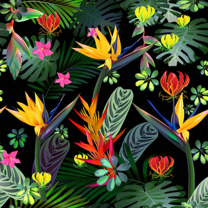 矢量的热带花 叶 藤无缝模式 鹤 鸡蛋花 南北美洲 中部非洲 东南亚和澳大利亚。季风森林，Mangroves.Fo