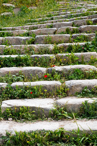 古董弃 stairwais 花草