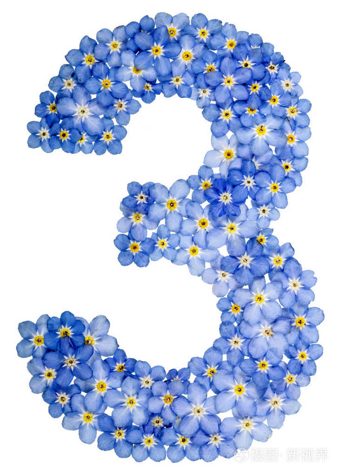 阿拉伯数字3三从蓝色勿忘我花