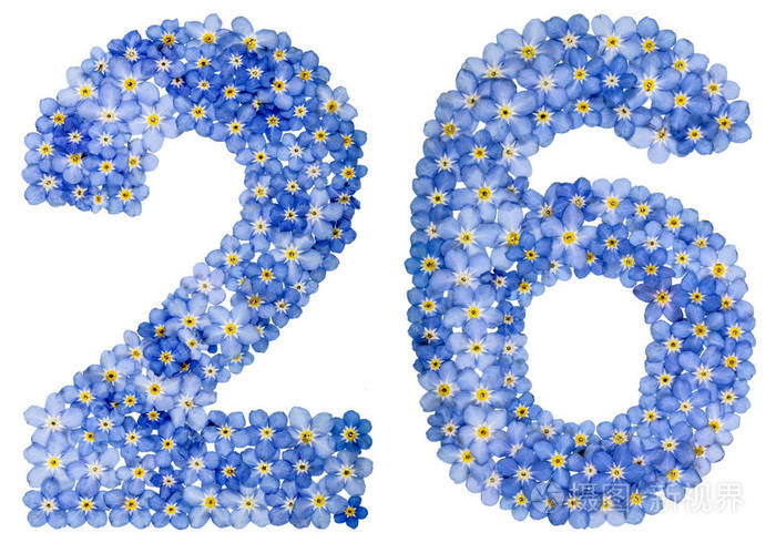 阿拉伯数字2626从蓝色勿忘我花