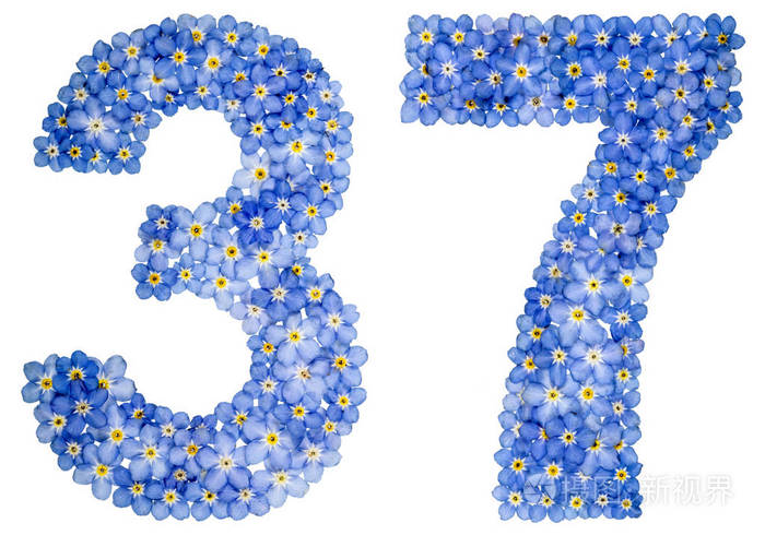阿拉伯数字3737从蓝色勿忘我花