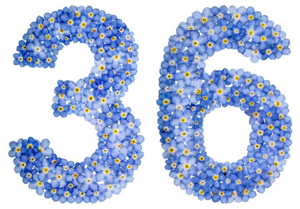 阿拉伯数字 36,三十六计,从蓝色勿忘我花照片