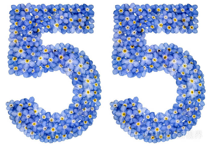 阿拉伯数字 55,55,从蓝色勿忘我花