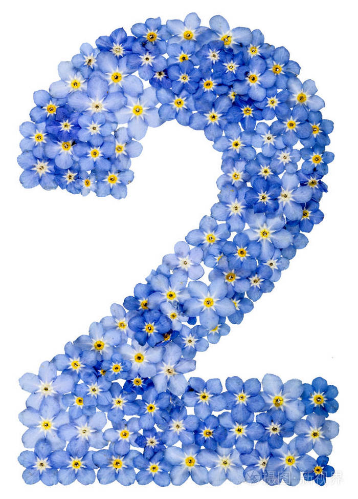 阿拉伯数字2两个从蓝色勿忘我花