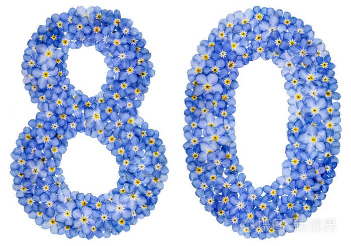 阿拉伯数字80八十岁了从蓝色勿忘我花