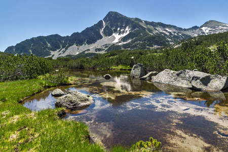 Sivrya 反射峰值在 Banski 湖，皮林山景观