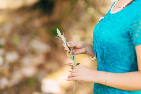 在女性手中的橄榄枝。新娘的手。在星期一举行婚礼