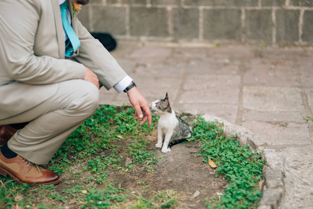 一个人在大街上抚摸一只猫一套西装