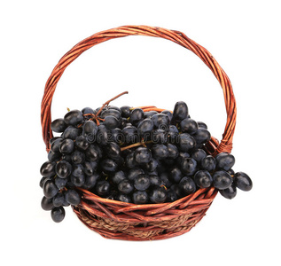 篮子里的黑熟葡萄。