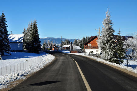 雪山云杉的冬季公路